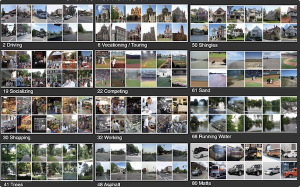 AI感知城市风貌